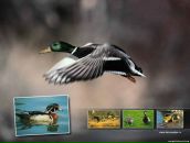 Фотография Смірнова Сергія