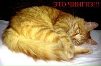 Фотография Покровской Любови