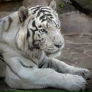 Фотография Петровой Алисы