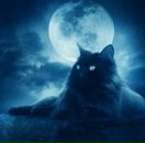 Фотография Подолянчук Олеси