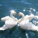 Фотография Теплухиной Маргариты