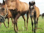 Фотография Федотовой Натальи