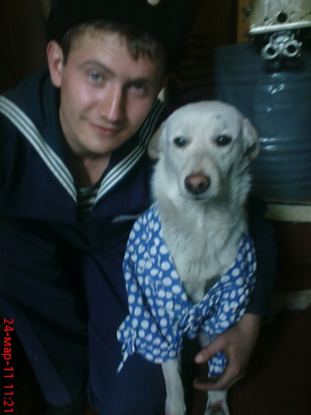 Дмитрий Когтев фотография #28