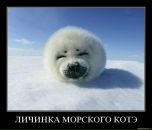 Фотография Живец Марии