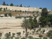 Лідзія Каўрыговіч фотография #26 (источник - https://vk.com/id6228044)