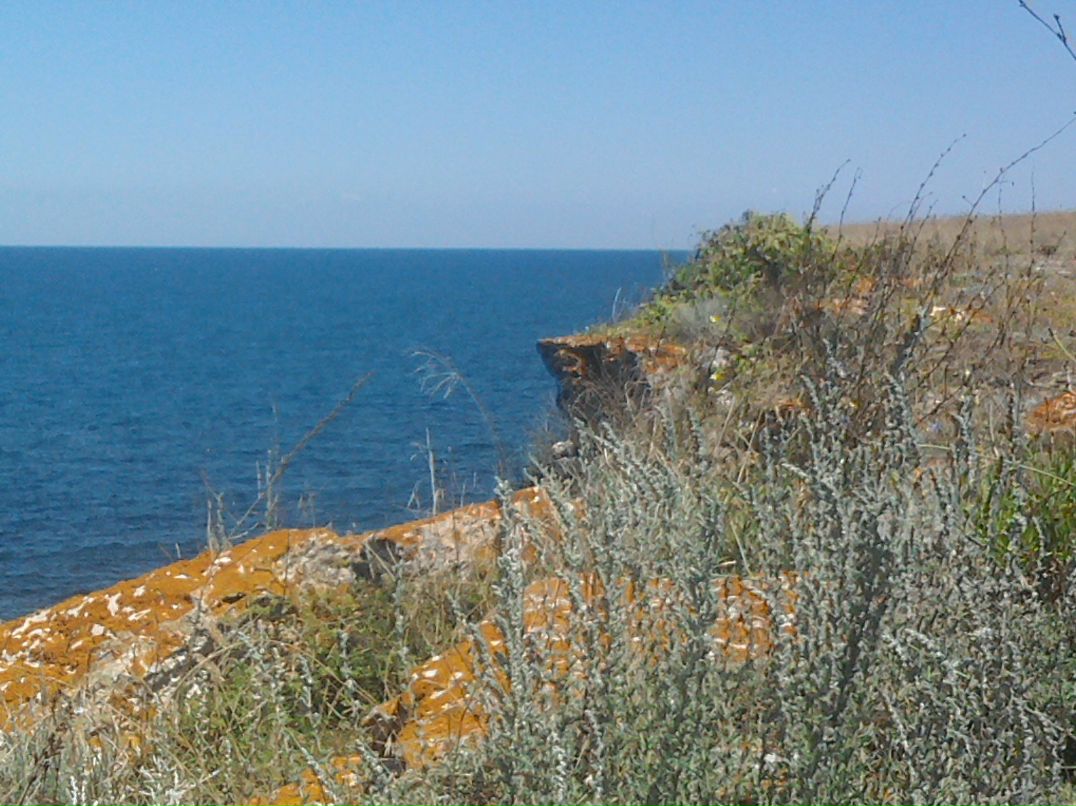 Ольга Мальцева фотография #22