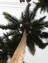 Фотография Лункиной Екатерины