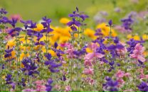 Світлана Кацан фотография #25 (источник - https://vk.com/id62667856)