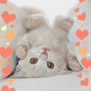 Оксана Стебо фотография #1