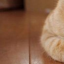 Віка Костевка фотография #41 (источник - https://vk.com/id151551439)