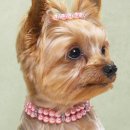 Ніка Любанська фотография #17 (источник - https://vk.com/id59439297)