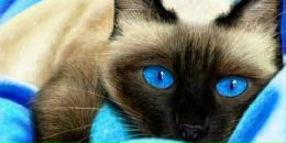 Фотография Борис Надежды