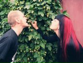 Фотография Рыбки Анюточки