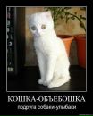 Софья Раппа фотография #18 (источник - https://vk.com/id3152804)