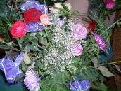 Оля Пасічник фотография #37 (источник - https://vk.com/id51452549)