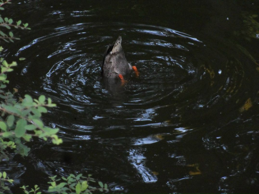 Дмитрий Козел фотография #34