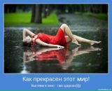 Белка .·˙˙♥это♥йа♥˙˙· . фотография #1