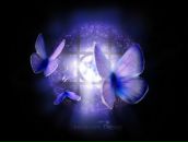 Фотография Водаян Тамары