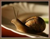 Фотография Леонов Алексей