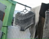 Test Test фотография #1