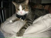 Фотография Кулиевой Валерии