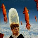 Фотография Шевякова Антона