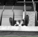 Сергій Хеміч фотография #7 (источник - https://vk.com/id11054151)