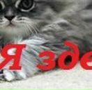 Емілія Мовчан фотография #22 (источник - https://vk.com/id89589512)