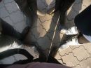 Анастасія Бучко фотография #18 (источник - https://vk.com/id124271331)