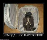 Фотография Вербицкой Людмилы