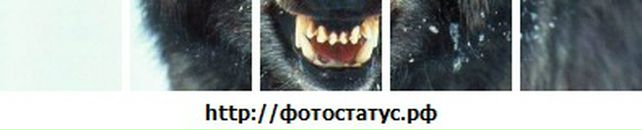 Ирина Мищенко фотография #15 (источник - https://vk.com/id17107253)