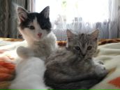 Лидия Дедер фотография #38 (источник - https://vk.com/id655541)