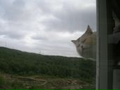 Фотография Закупневой Виктории