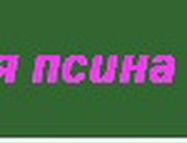 Sofa Sofa фотография #46 (источник - https://vk.com/id2776916)