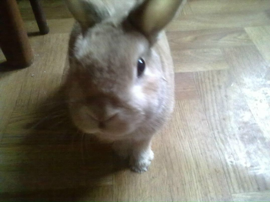 Владимир Чурляев фотография #10