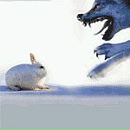 Андрій Губич фотография #22 (источник - https://vk.com/id68750416)