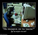 Дмитрий Винник фотография #27 (источник - https://vk.com/id26933235)