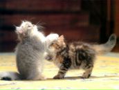 Наташа Кузнецова фотография #1