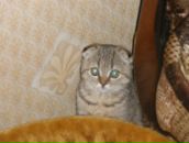 Фотография Перфиловой Юлии