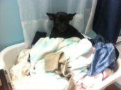 Olya Shepel фотография #44 (источник - https://vk.com/id679910)