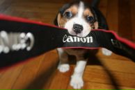 Фотография Аренс Ксении