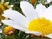 Світлана Мороз фотография #16 (источник - https://vk.com/id134538537)