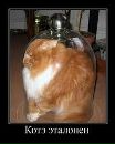 Іван Жалов фотография #36 (источник - https://vk.com/id141022583)