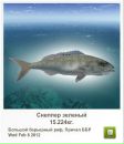 Андрій Орищак фотография #31 (источник - https://vk.com/id43615340)