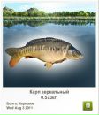 Вадім Горковенко фотография #41 (источник - https://vk.com/id132061658)