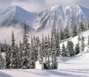 Фотография Троцкого Льва