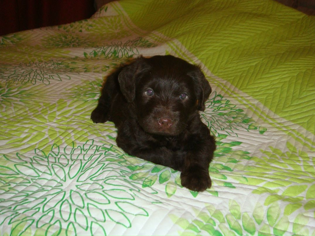 Александр Яковлев фотография #7