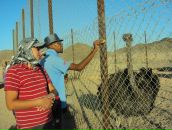 Катя Олійник фотография #37 (источник - https://vk.com/id16853046)