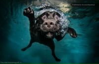 Фотография Селивёрстовой Екатерины