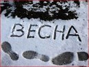 Вікуся Назарко фотография #45 (источник - https://vk.com/id159254390)